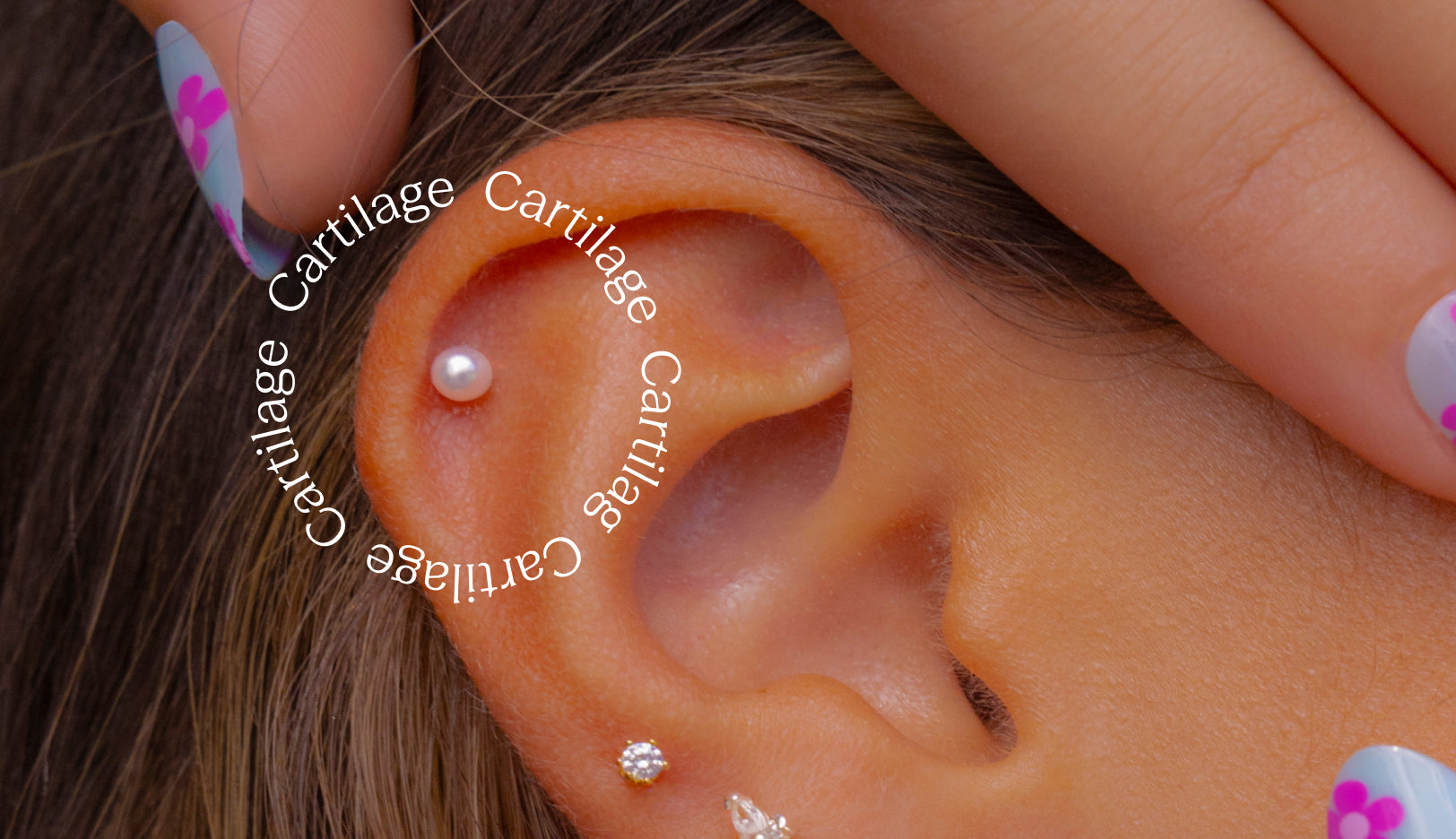 Cartilage