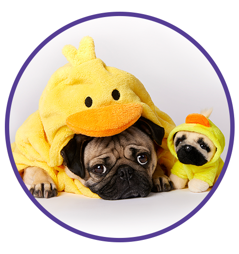 doug the pug stuffed animals