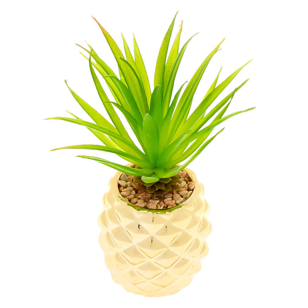 Pineapple Succulent Plant - Gold,
