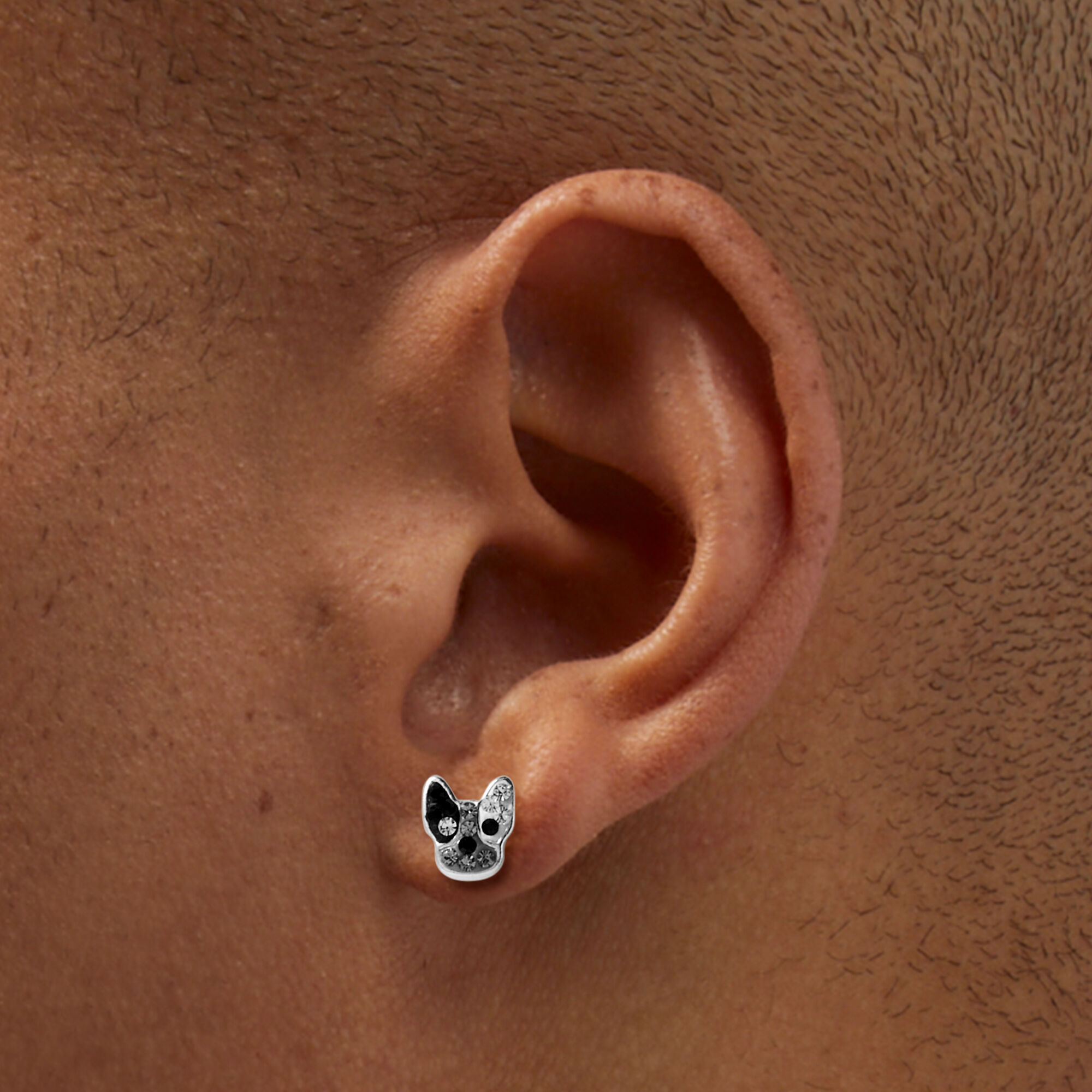 Clous d'oreilles bouledogue français strass couleur argentée,