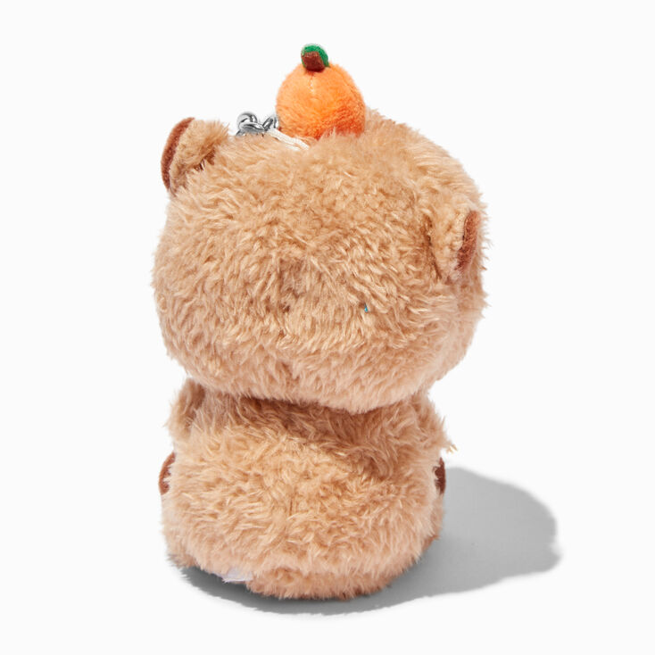 Camden the Calm Capybara