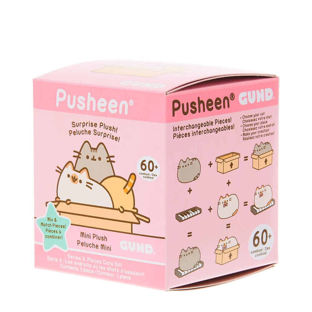 Pusheen top surprise box