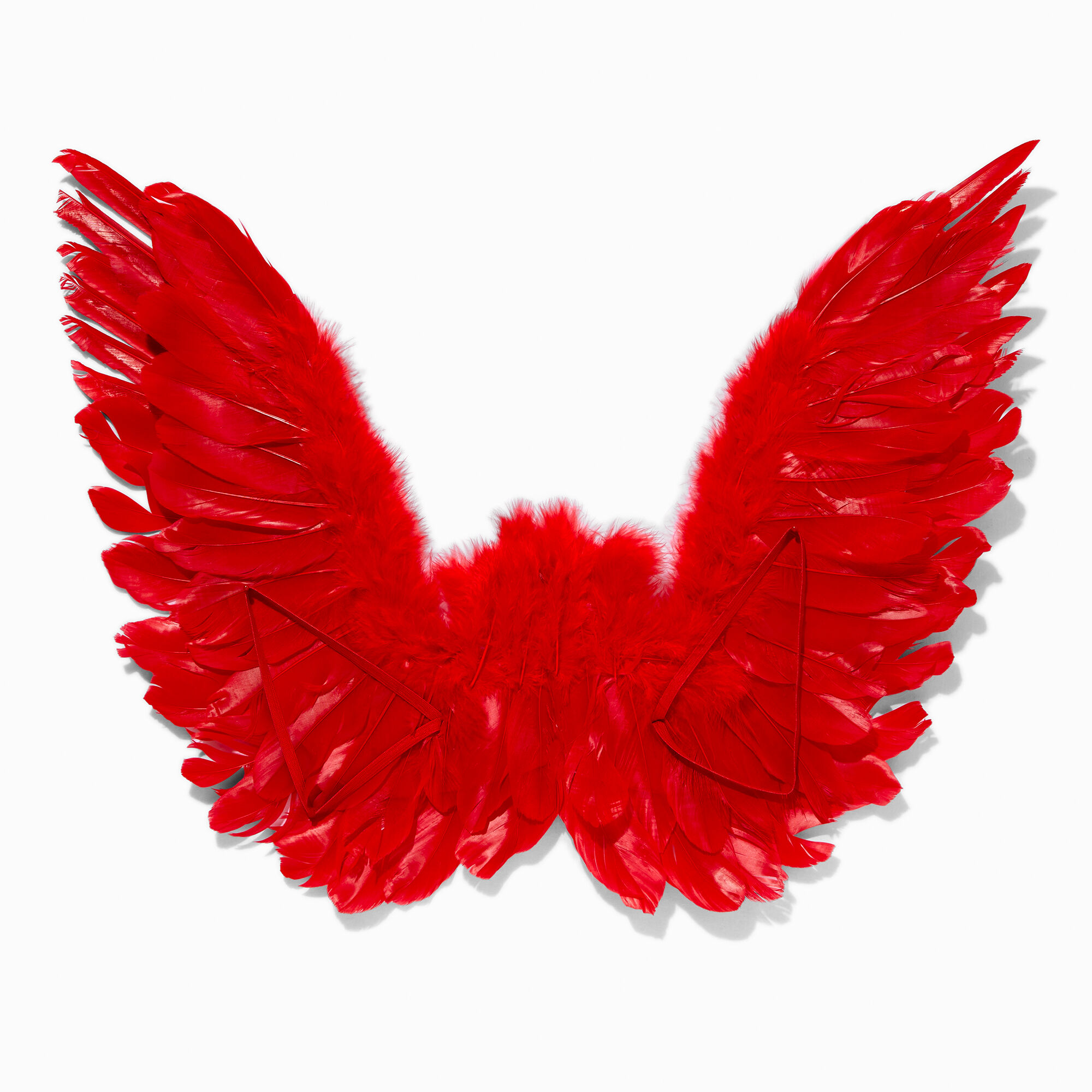 Ailes d'ange noires à plumes rouges,