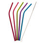 Rainbow Bent Stainless Steel Straws - 5 Pack,