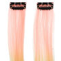 Pastel Rainbow Faux Hair Clip In Extensions - 2 Pack,