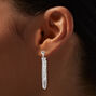 Silver-tone Two Chains Front &amp; Back Drop Earrings,