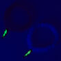 Lightning Bolt Glow in the Dark Beaded Stretch Bracelets - 2 Pack,