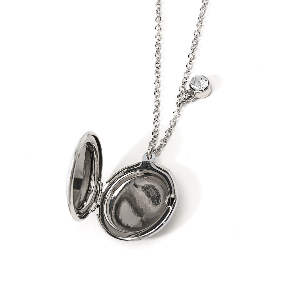 Frozen locket store necklace
