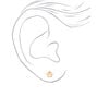 18K Gold Plated Paw Print Stud Earrings,
