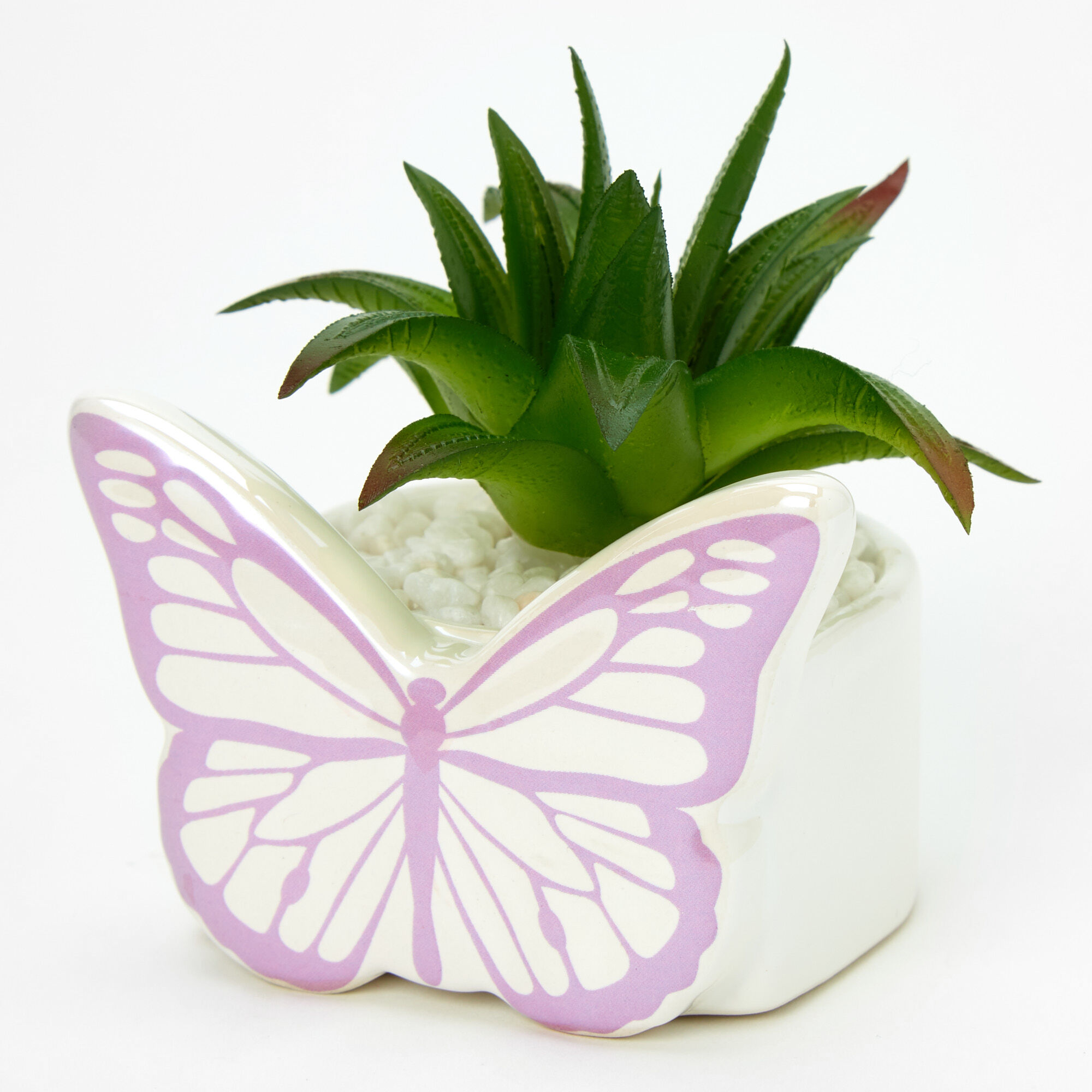 View Claires Butterfly Planter With Faux Succulent Plan information