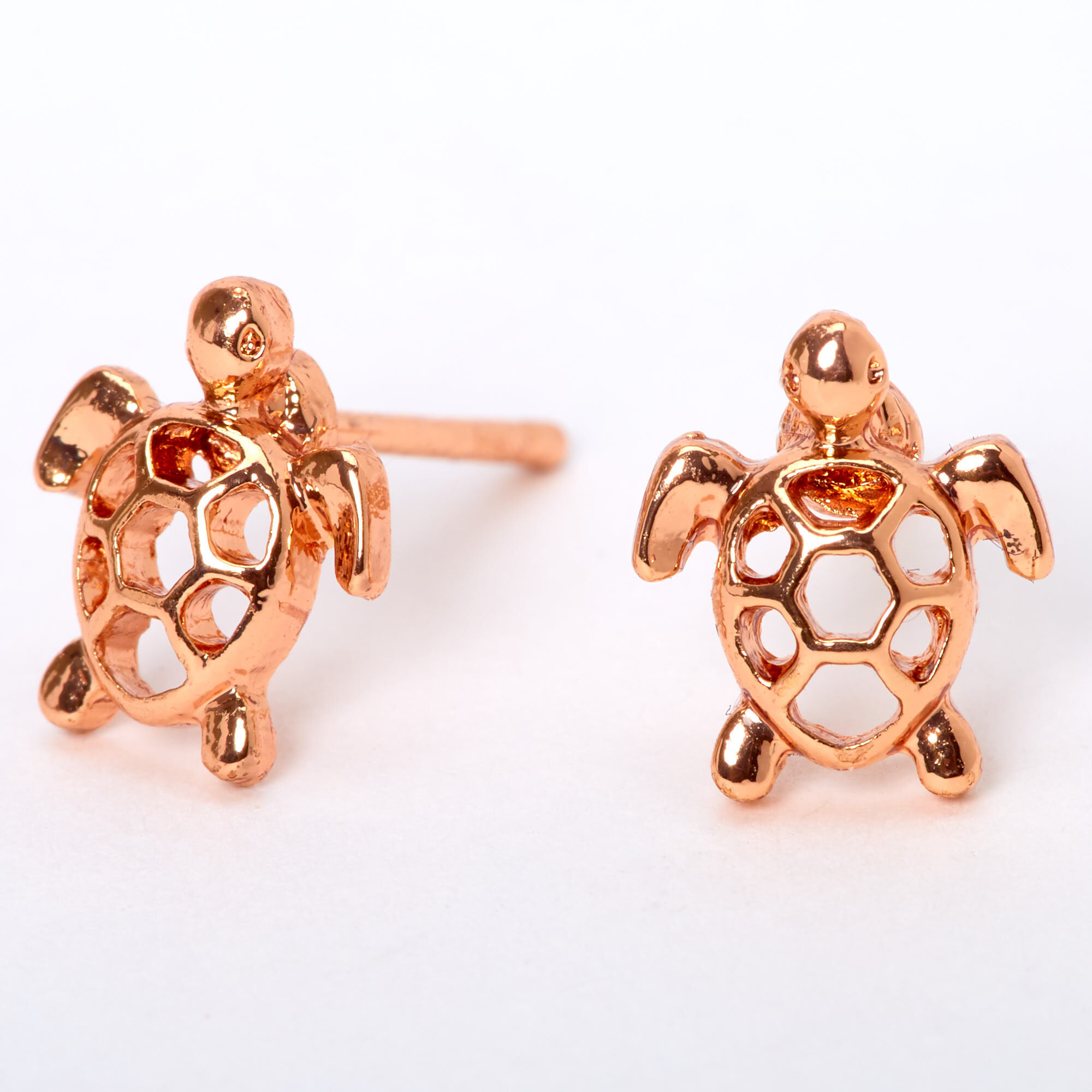 Claire s Turtle Earrings 2024 citygym.lt