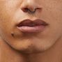 18G Silver-tone Titanium Double Row Nose Ring,