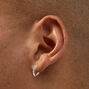 Boucles d&#39;oreilles vari&eacute;es papillons et roses - Lot de 20,