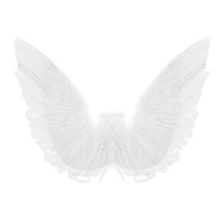 Ailes &agrave; plumes blanches,