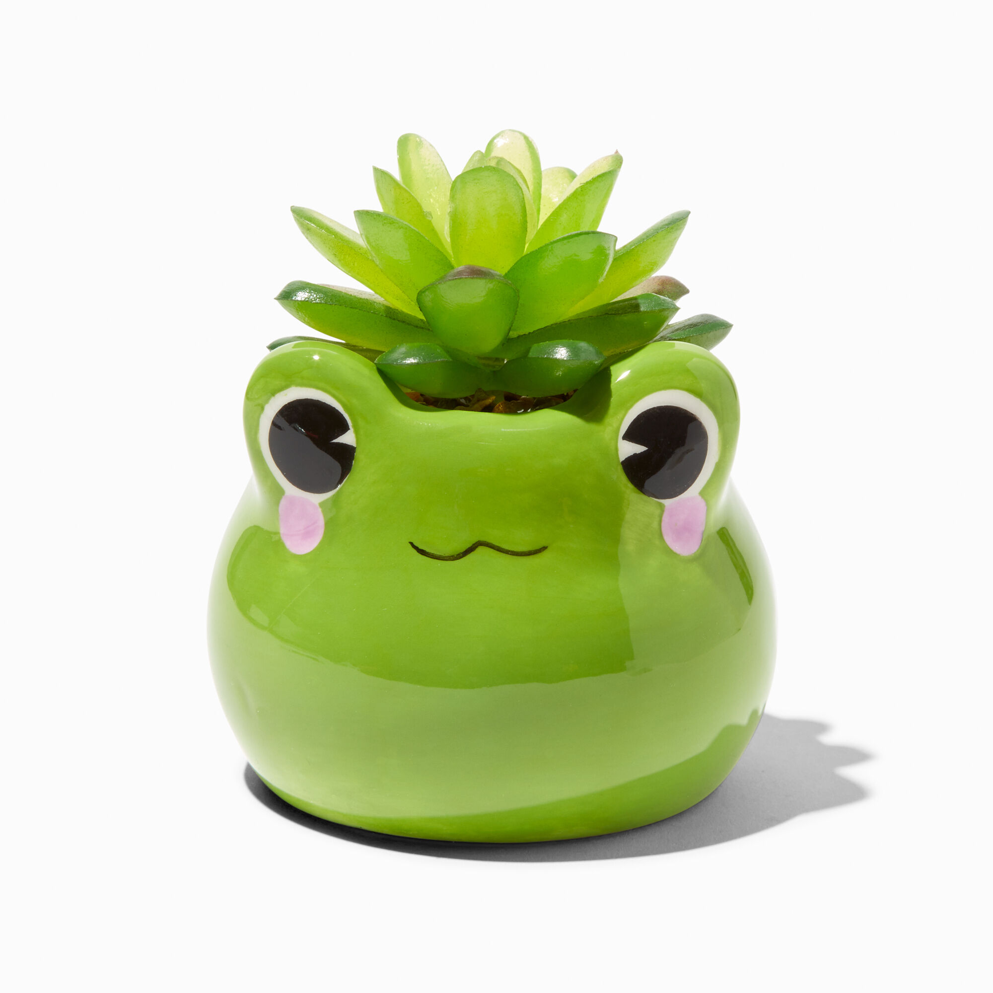 View Claires Frog Planter With Faux Succulent information