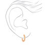 Gold 30MM Brushed Hoop Earrings,