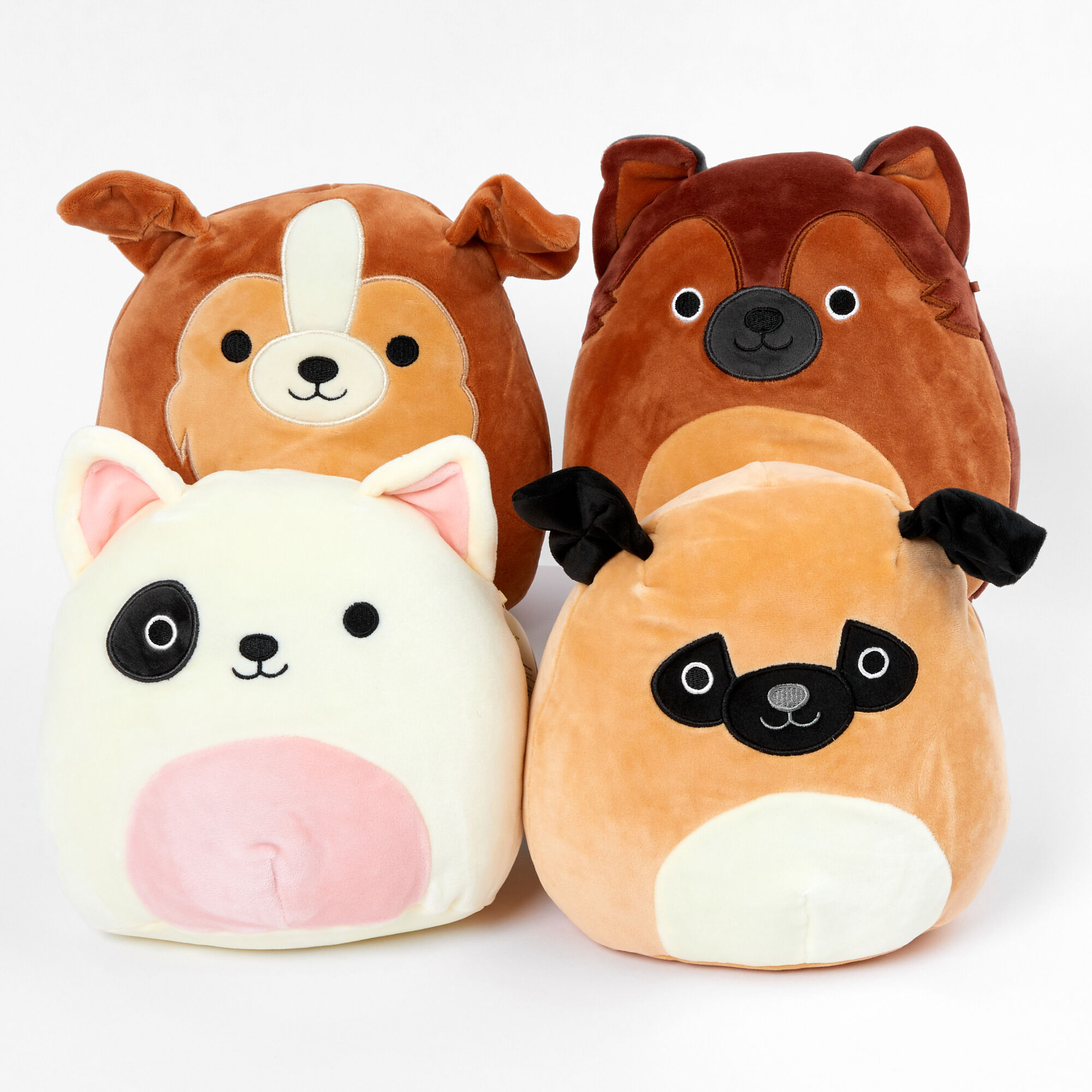 Dog squishmallow shop