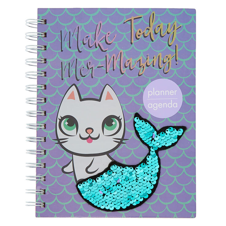 Image result for agendas claires