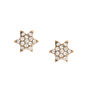 Crystal Starburst Magnetic Earrings,