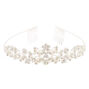 Silver Rhinestone Butterfly Tiara,