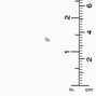 Rose Gold Cubic Zirconia Round Stud Earrings - 2MM,
