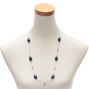 Silver Stone Long Necklace - Blue,