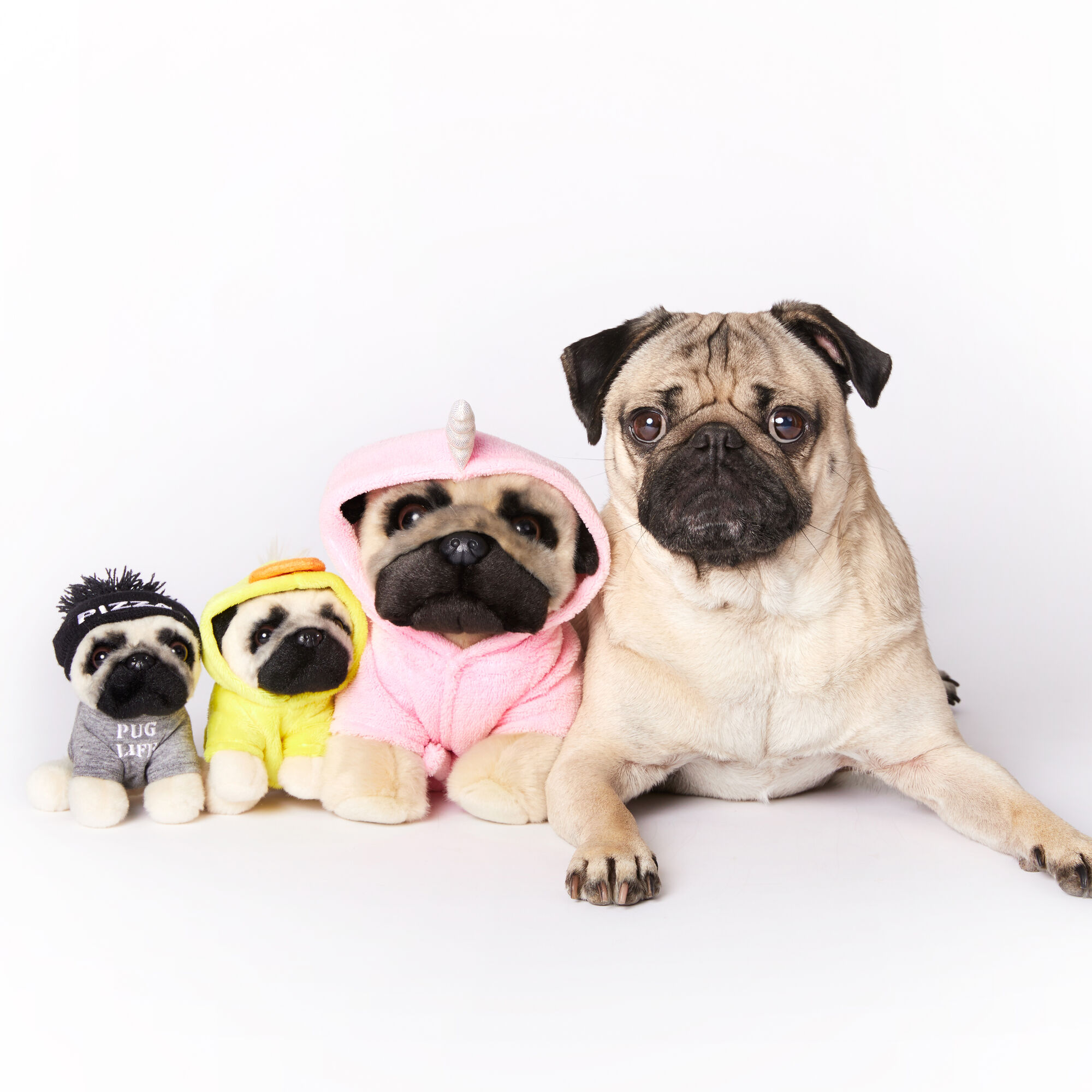 doug the pug stuffed animals
