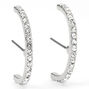 Silver Embellished Hook Stud Earrings,