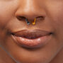 16G Mixed Metal Titanium Horseshoe Septum Nose Ring,