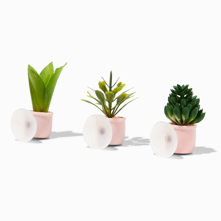Lot de mini plantes succulentes - Lot de 3,