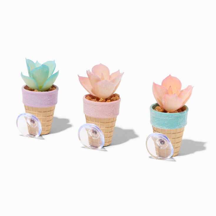 Lot de mini plantes succulentes cornet de glace - Lot de 3,