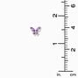 Purple Cubic Zirconia Silver Butterfly Stud Earrings,