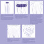 Star Ring Braided Top Knot Hair Tools Kit,