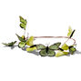 Green Butterfly Crown Headwrap,