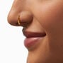 Crystal 18G Gold-tone Titanium Nose Ring,