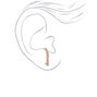 Rose Gold Crystal Ear Suspender Earrings,