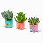 Suction Cup Mini Faux Succulent Set - Brights/3 Pack,