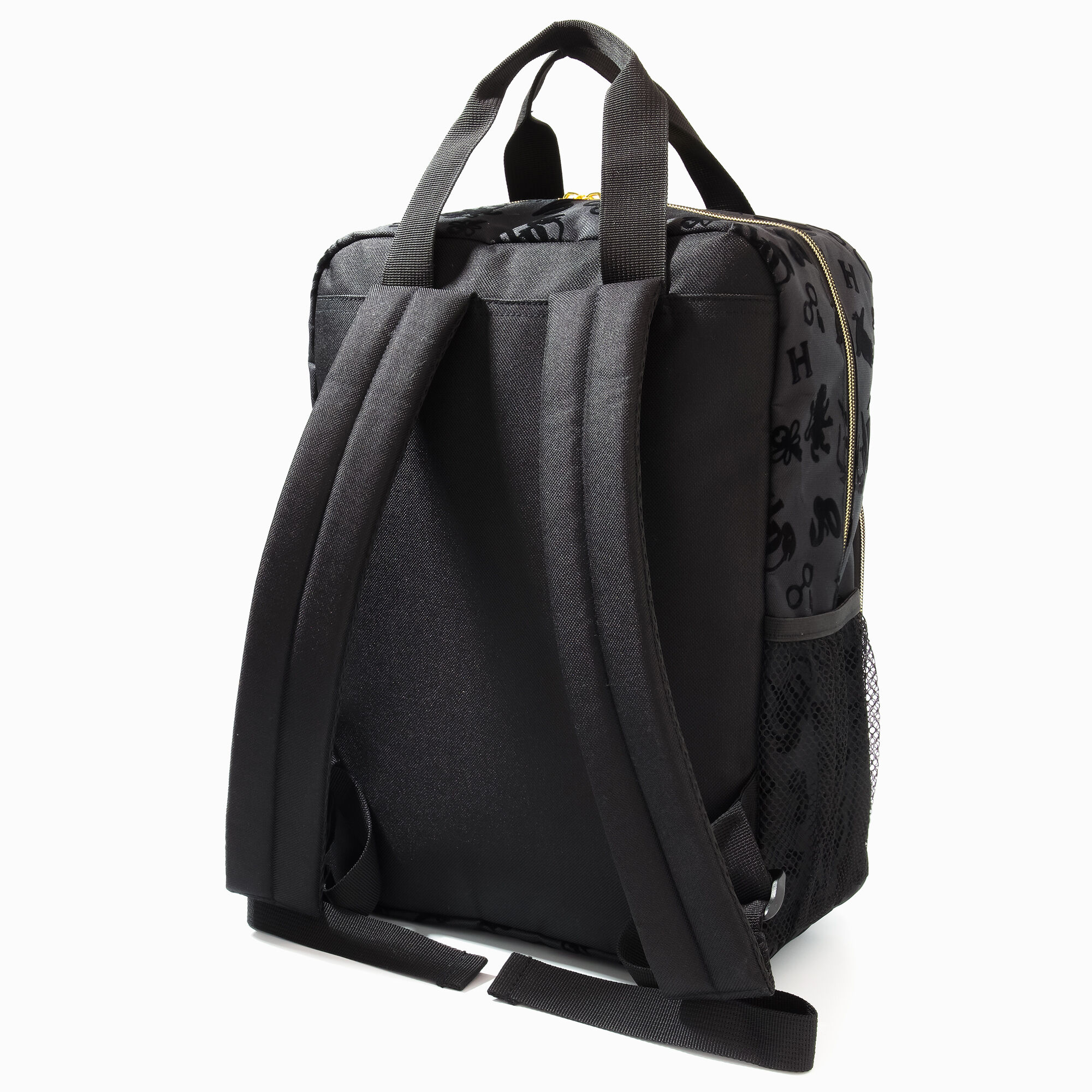 Harry Potter Black and Gold Backpack