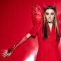Red Devil Flame Design Arm Warmers,
