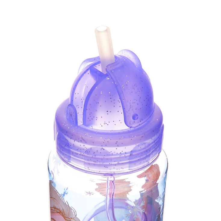 &copy;Disney Frozen 2 Water Bottle - Purple,