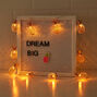 Rose Gold Pineapple Light Strands,