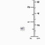 Silver-tone Star Bursts Stud Earrings - 9 Pack ,
