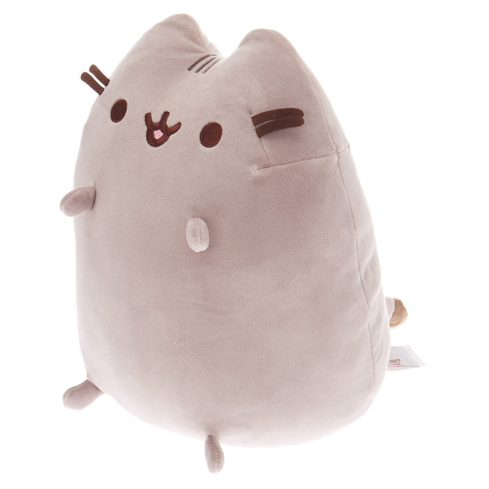 large pusheen