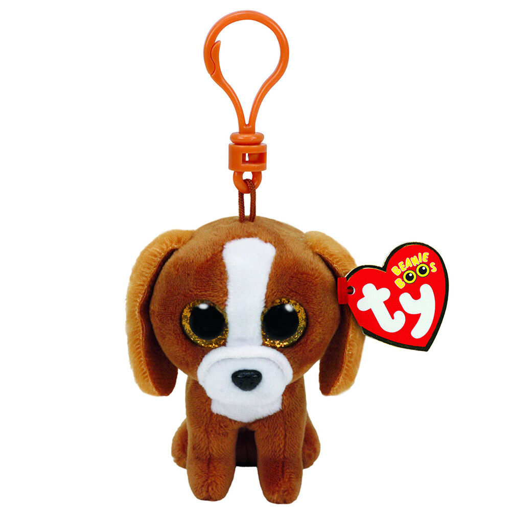 beanie boos puppy