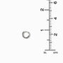 Silver-tone 10mm Huggie Hoop Earrings,