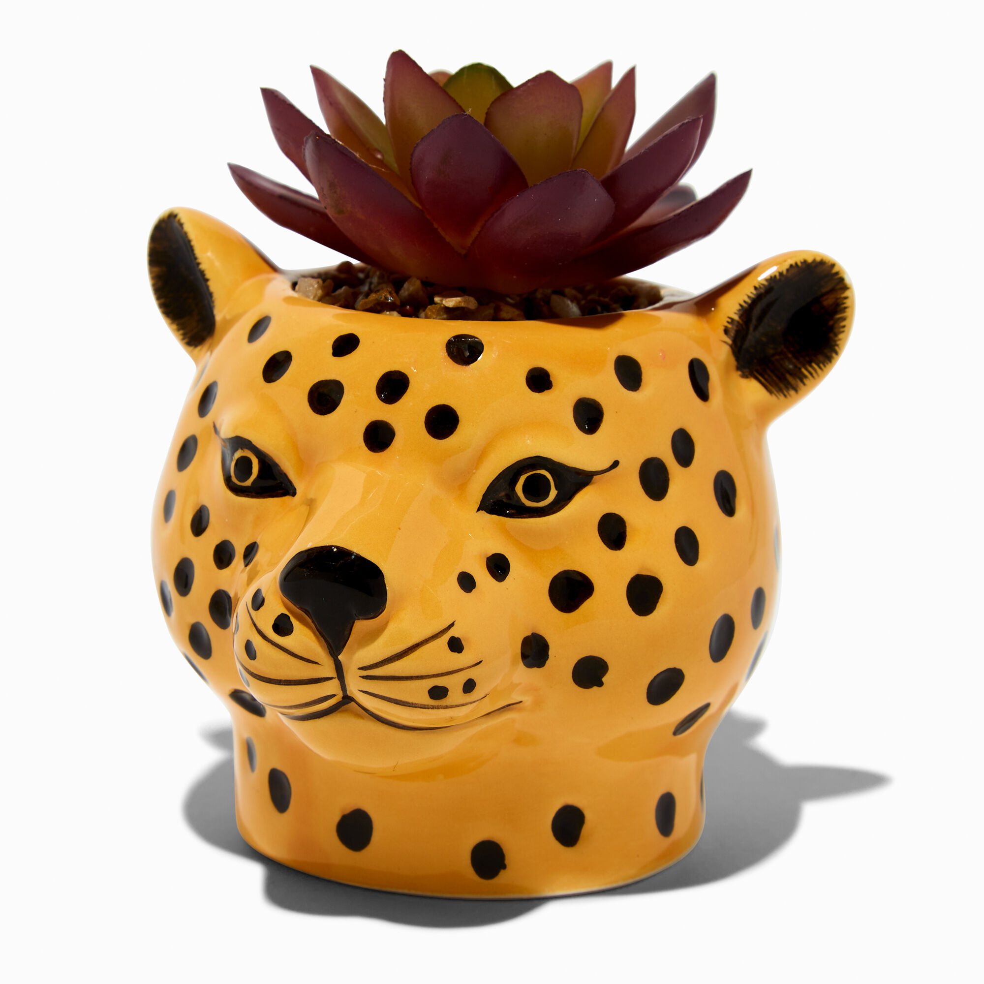 Cheetah Planter with Faux Succulent