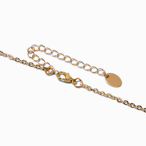 Tortoiseshell Hoop Gold-tone Long Pendant Necklace,