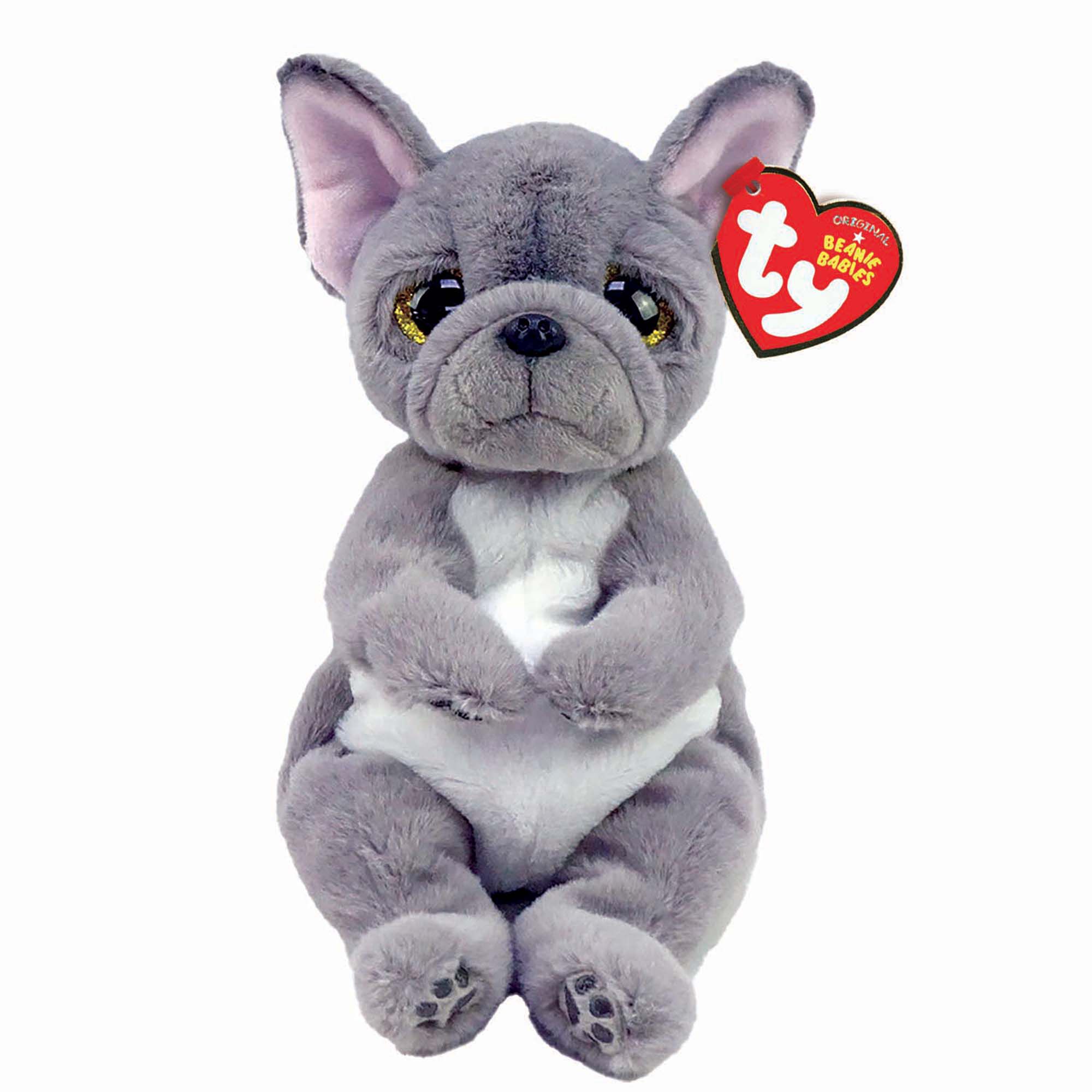 French 2025 bulldog teddy