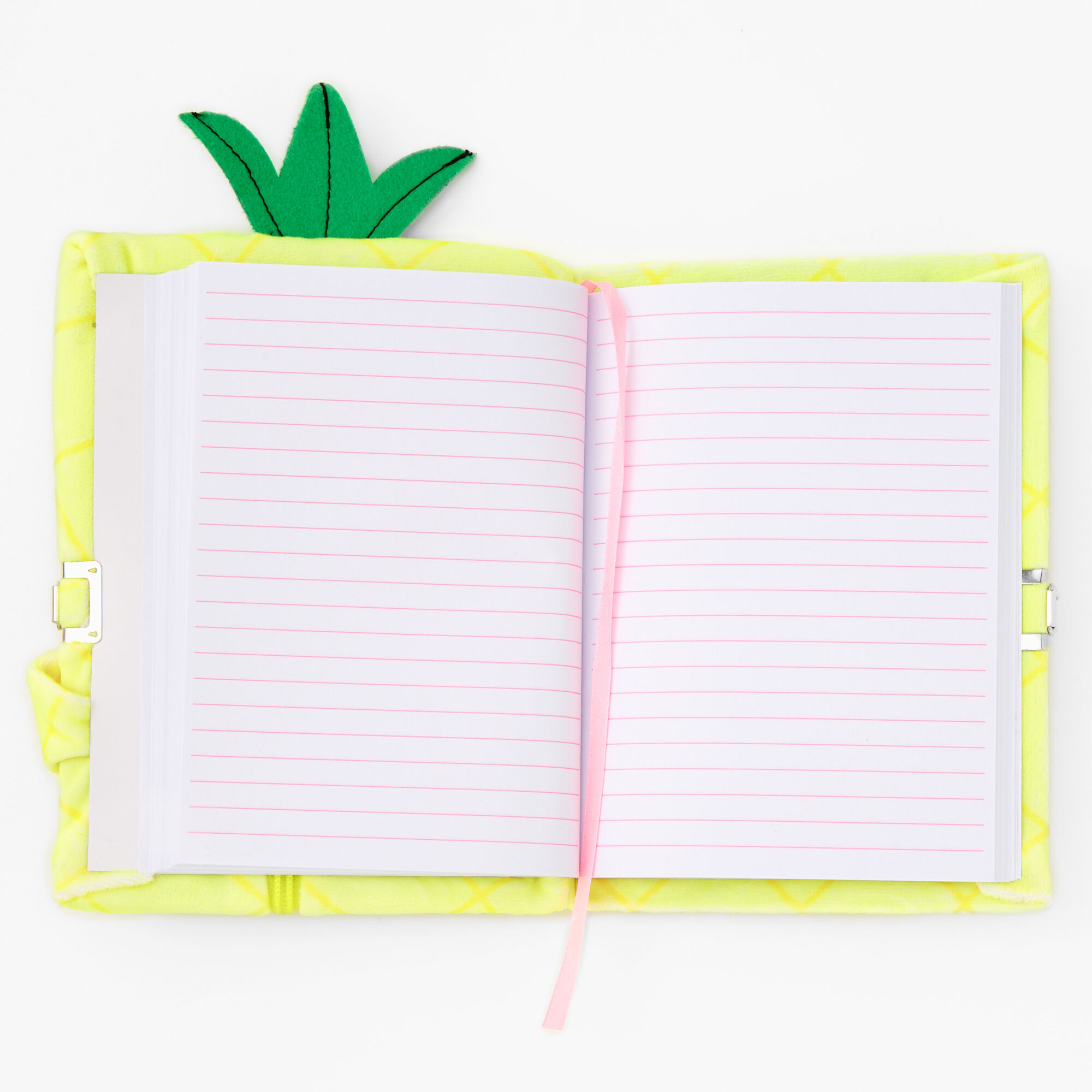 Pineapple Hoodie Chipmunk Lock Diary,