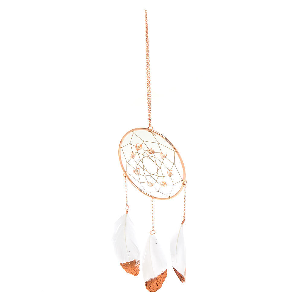 Metallic Feather Hanging Wall Art - Rose Gold,